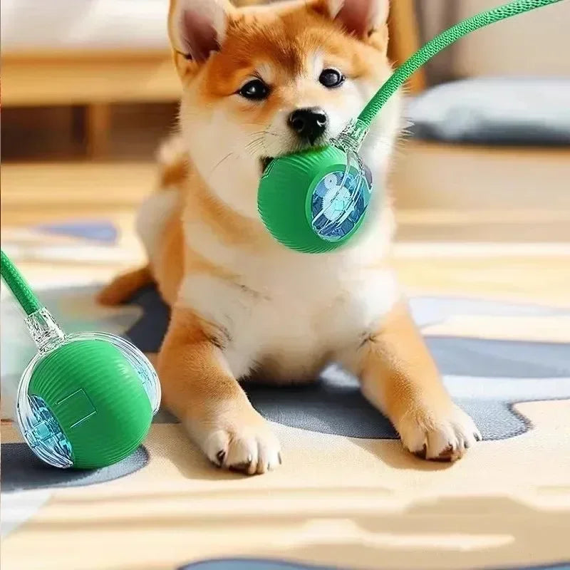 1~3 Stück Katzen interaktives Ballspielzeug Automatisch rollendes Ballschwanz Wiederaufladbares intelligentes Haustier elektrisches Spielzeug Hund Katze Trainingsmaus imitieren