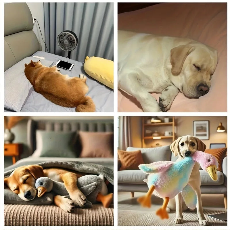 50 cm weiches, angstlinderndes, farbenfrohes Enten-Plüschtier für Hunde | Hundespielzeug