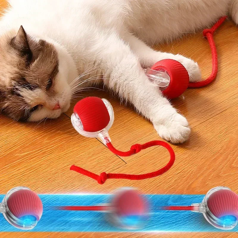 1~3 Stück Katzen interaktives Ballspielzeug Automatisch rollendes Ballschwanz Wiederaufladbares intelligentes Haustier elektrisches Spielzeug Hund Katze Trainingsmaus imitieren