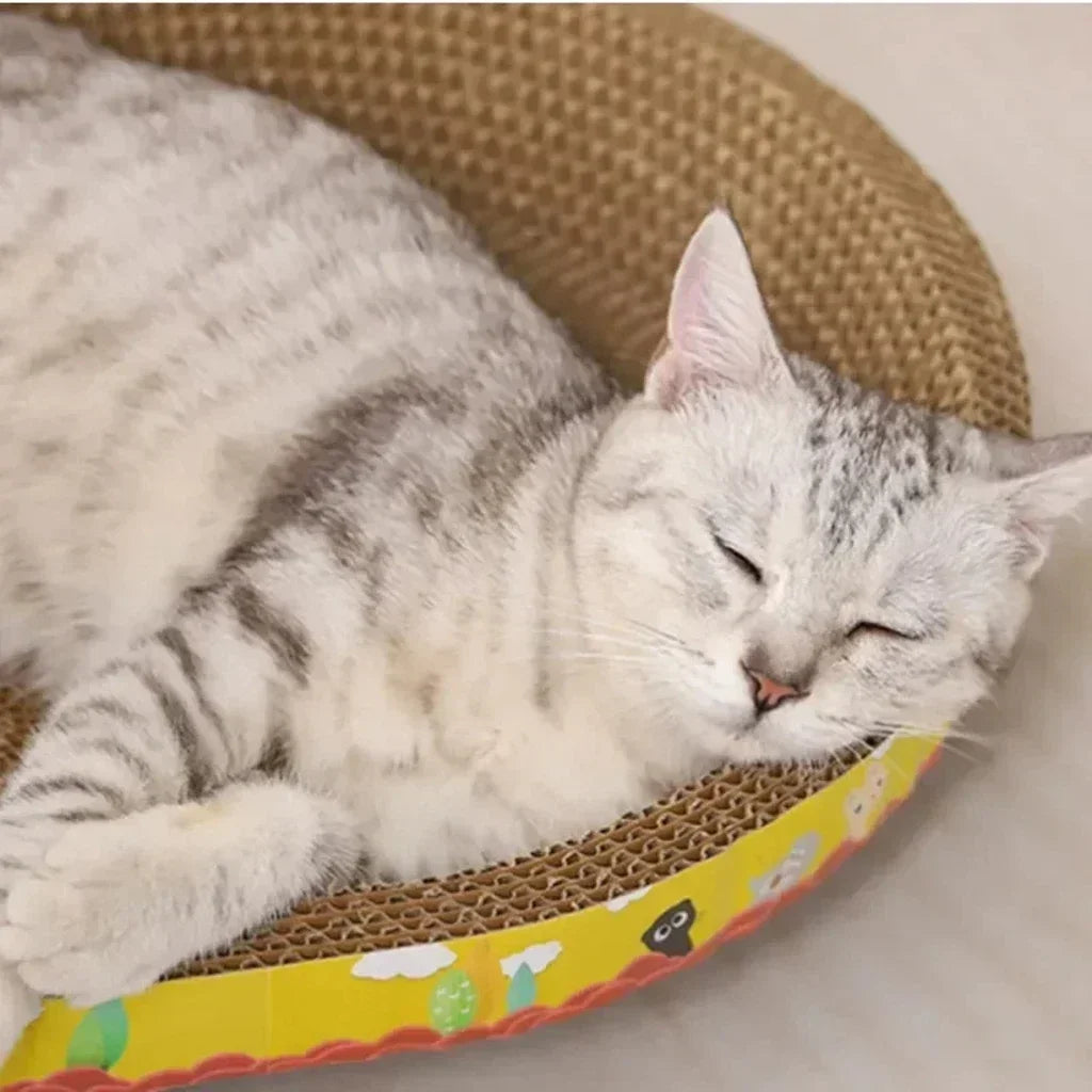 Griffoir pour chat, protection de meubles, jouets à griffer, papier ondulé ovale, résistant à l'usure, nid pour chat, accessoires pour chat